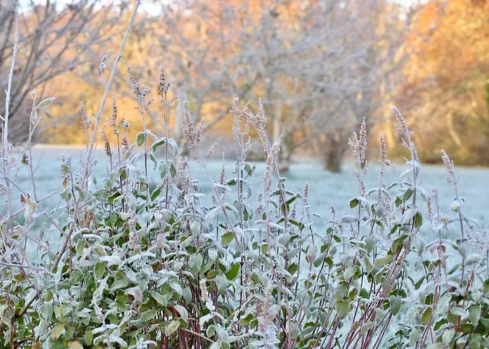 Bed & Breakfast Moulin Sous La Vergne Nanteuil-en-Vallee