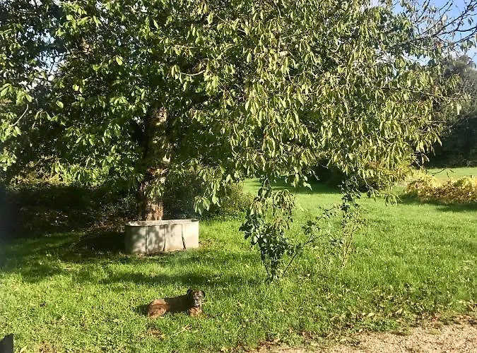 Moulin Sous La Vergne Bed & Breakfast 3*